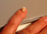 smallestPinion.jpg